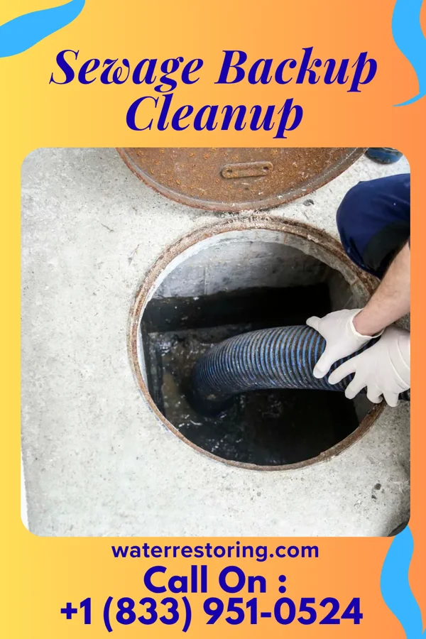 Sewage Backup Cleanup in Oakwood, OK
